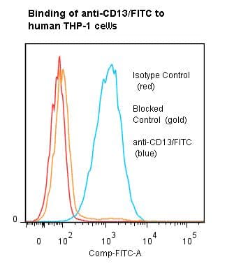 ANPEP / CD13 Antibody (clone 22A5, FITC)