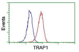 TRAP1 / HSP75 Antibody (clone OTI1H8, Carrier-free)