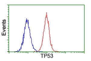 TP53 / p53 Antibody (clone OTI2E4, Carrier-free)