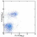 ITGAE / CD103 Antibody (clone 2E7)