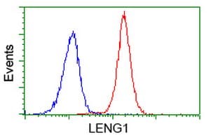 LENG1 Antibody (clone OTI1D4)