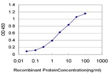 HIC1 Antibody (clone 4E11)