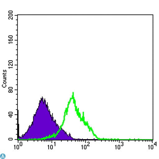 KLRD1 / CD94 Antibody