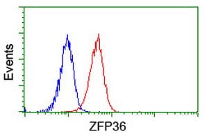 ZFP36 / Tristetraprolin Antibody (clone OTI4B10)