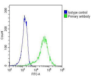 Monoclonal Mouse anti-Human MYO18B / Myosin 18B Antibody (clone 1683CT270.39.50, IHC, WB)