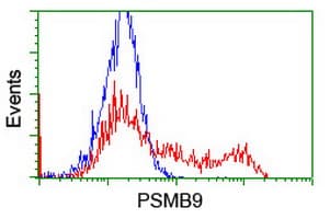 PSMB9 Antibody (clone OTI1G7)