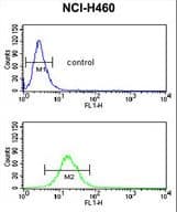 NEDD4 Antibody (aa1288-1319)