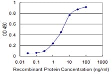 Monoclonal Mouse anti-Human RAD23B / HR23B Antibody (clone 3H7, WB)