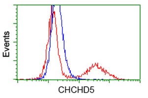 CHCHD5 Antibody (clone OTI4B3)