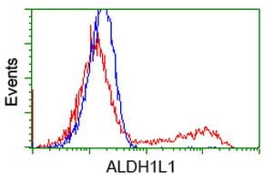 Monoclonal Mouse anti-Human ALDH1L1 Antibody (clone OTI5G8, IF, WB)