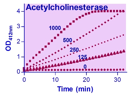 Acetylcholinesterase (AChE) Assay Kit (Colorimetric)