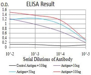 ASF1B Antibody (clone 1A6G4)