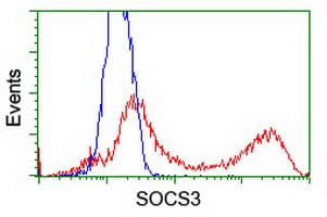 SOCS3 Antibody (clone OTI8G3)