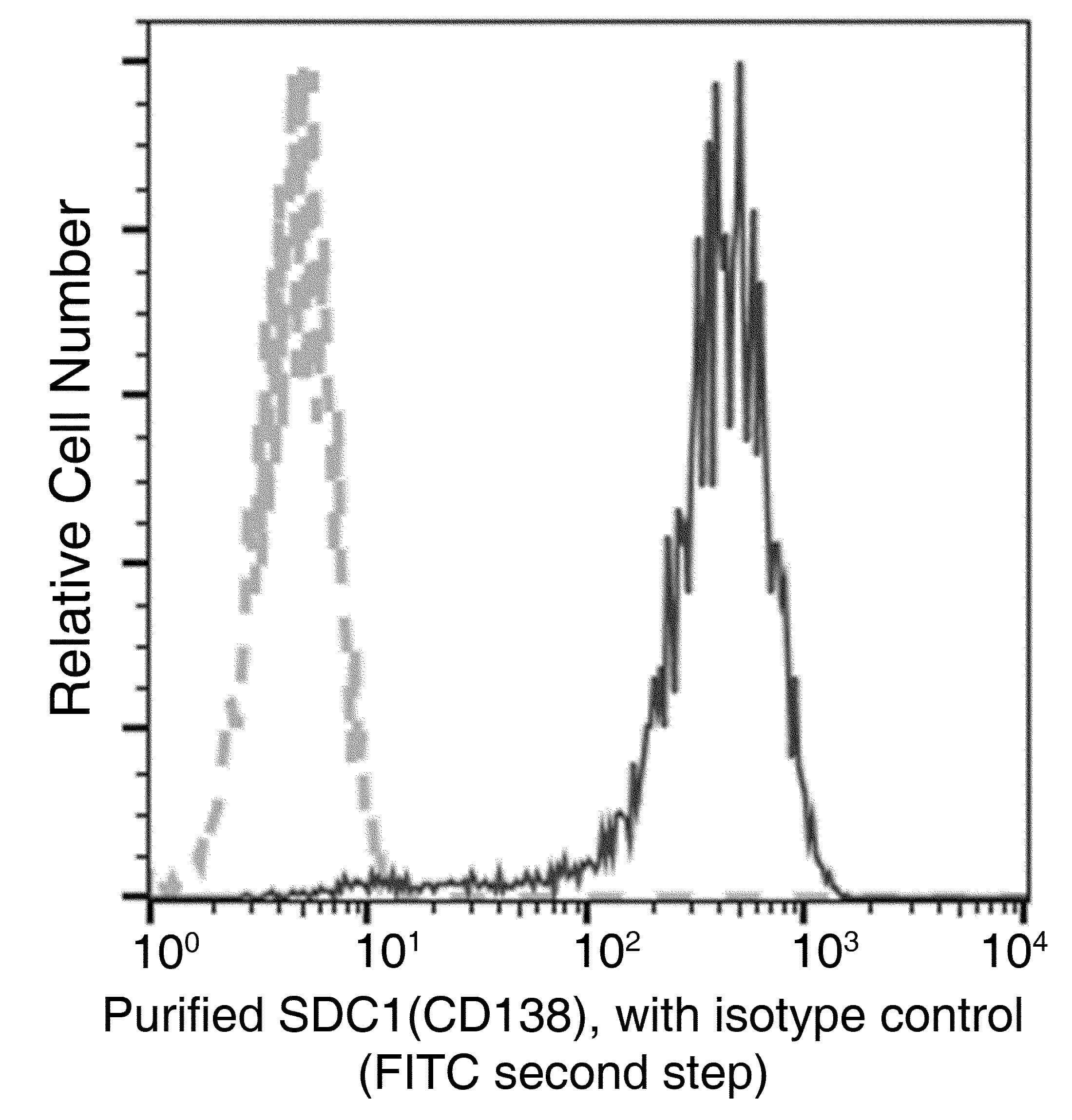 Monoclonal Rabbit anti-Human SDC1 / Syndecan 1 / CD138 Antibody (clone 017, Preservative Free)