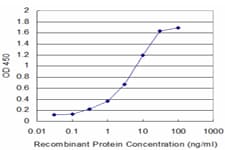 Monoclonal Mouse anti-Human ALOX12 / 12 Lipoxygenase Antibody (clone 2D10, WB)