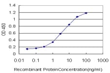 RUNX1T1 / ETO Antibody (clone 5A12)