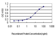 Monoclonal Mouse anti-Human PML Antibody (clone 1D12, IF, WB)
