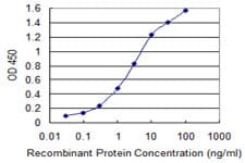 MANF / ARMET Antibody (clone 1D10)