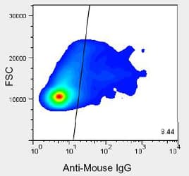 Monoclonal Mouse anti-Human Pancreas Marker HPd2 Antibody (clone DHIC2-5H10, IHC, IF)