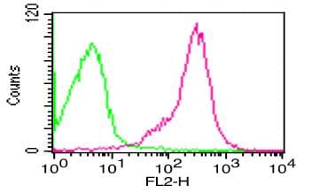 CD47 Antibody (clone B6H12)