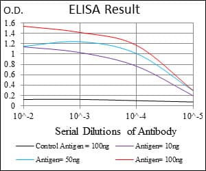 ITGB1 / Integrin Beta 1 / CD29 Antibody (clone 3B6)