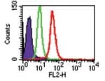 TLR8 Antibody (aa750-850, clone 44C143, PE)
