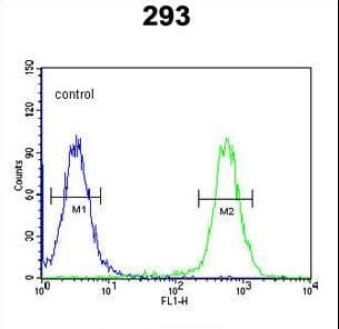 CSGALNACT2 Antibody (aa200-229)
