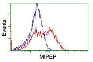 MIPEP Antibody (aa174-516, clone OTI5E7, Carrier-free)