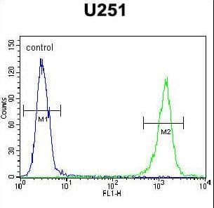 Polyclonal Rabbit anti-Human GPAA1 Antibody (aa46-73, IHC, WB)