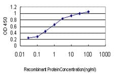 Monoclonal Mouse anti-Human SENP6 Antibody (clone 4B7, IHC, WB)