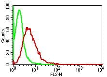 S100A7 / Psoriasin Antibody