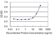 ING2 Antibody (clone 1D1)