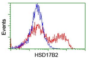 HSD17B2 Antibody (clone OTI3E9)
