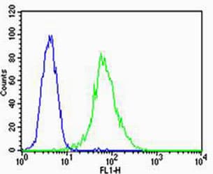 IHC-plus™ Monoclonal Mouse anti-Human FLT4 / VEGFR3 Antibody (clone 818CT12.1.1, IHC, WB)