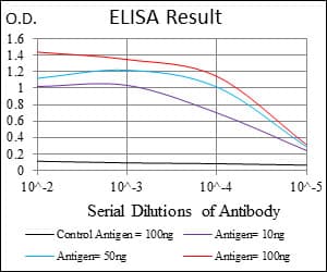 IHC-plus™ UBE2I / UBC9 Antibody (clone 1B10)