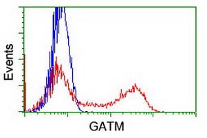 GATM / AGAT Antibody (clone 1C9, Carrier-free)