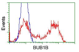 Monoclonal Mouse anti-Human BUB1B / BubR1 Antibody (clone OTI6E5, IHC, IF, WB)