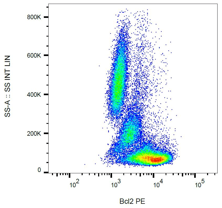 BCL2 / Bcl-2 Antibody (aa41-54, clone Bcl-2/100, PE)