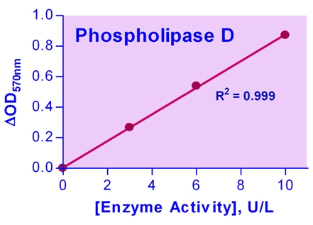 Phospholipase D (PLD) Assay Kit (Colorimetric/Fluorometric)