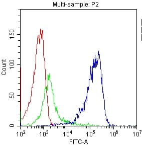 CD81 Antibody