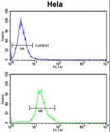 DOLK Antibody (aa312-339)
