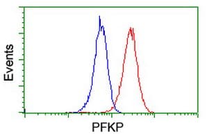 PFKP Antibody (clone OTI5F7)