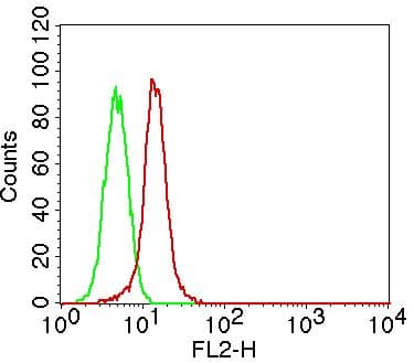 MLH1 Antibody