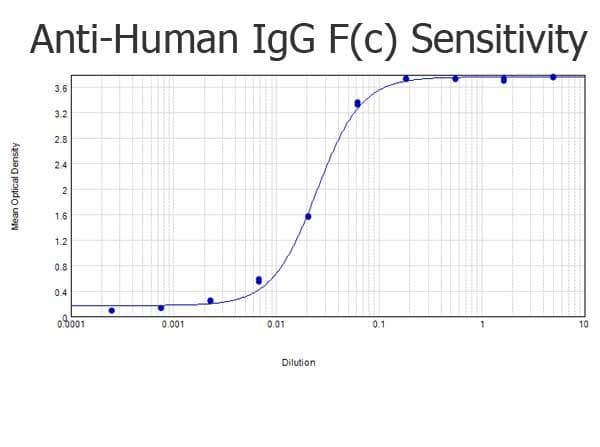 Rabbit Anti-Human IgG Fc Secondary Antibody (HRP)