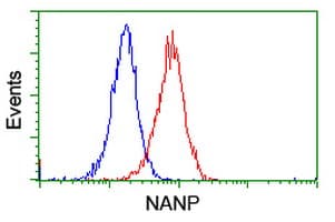 NANP Antibody (clone OTI1G8)
