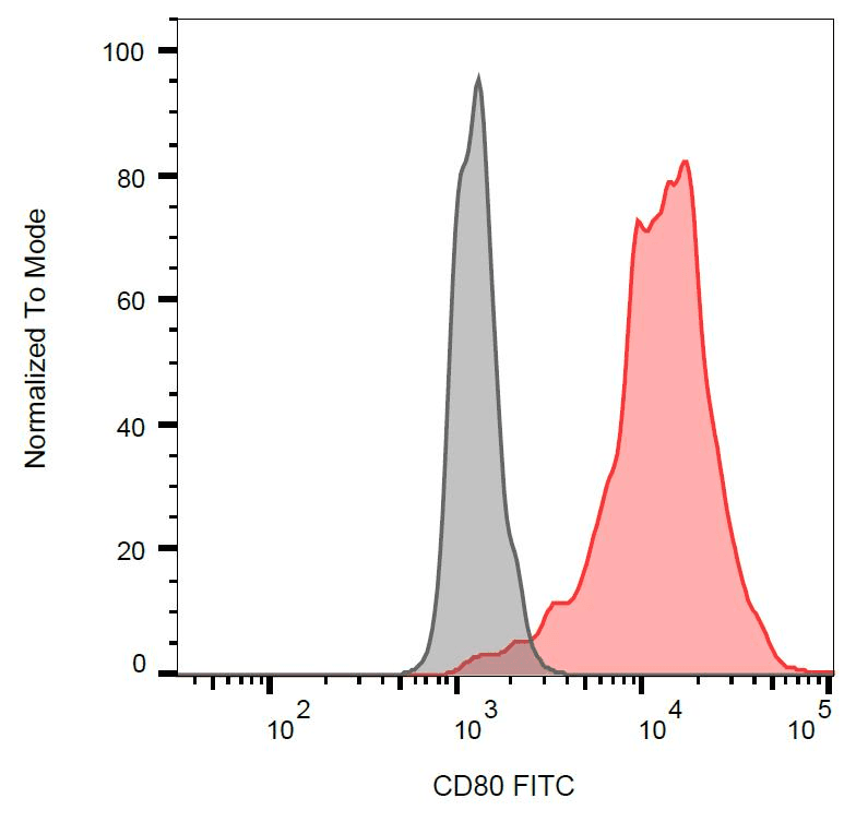 CD80 Antibody (clone MEM-233, FITC)