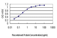 PBX3 Antibody (clone 1A9)