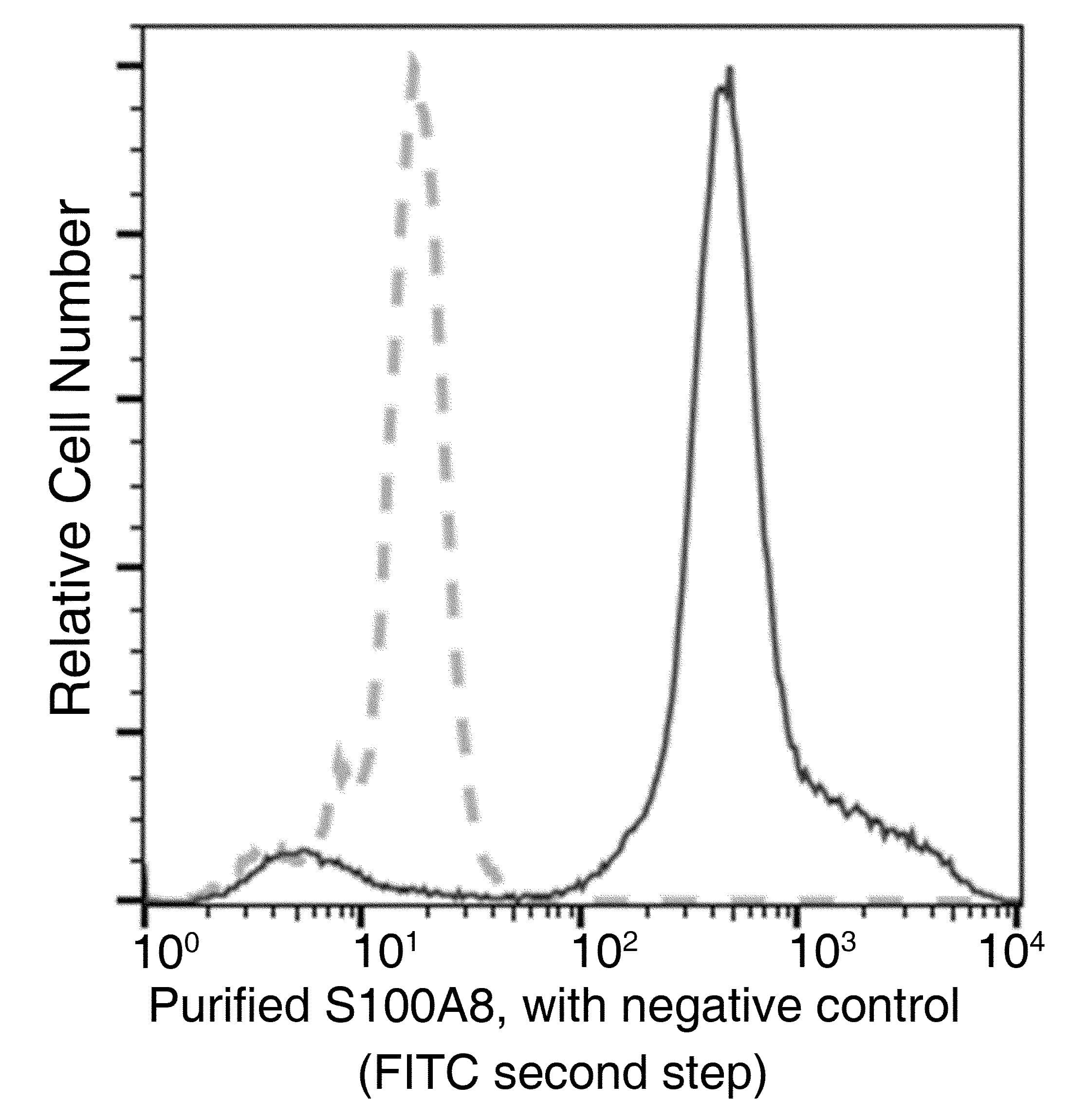 Monoclonal Mouse anti-Human S100A8 / MRP8 Antibody (clone 07, Preservative Free)