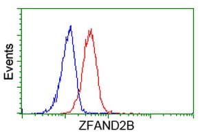 ZFAND2B Antibody (clone OTI2G10, Carrier-free)