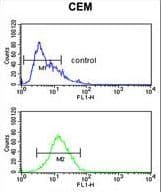 MLF1 Antibody (aa215-244)